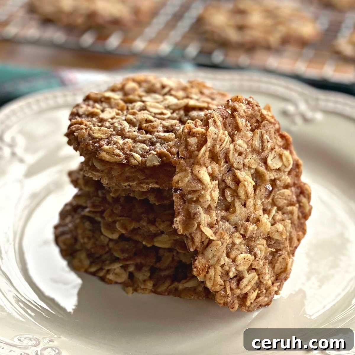 Vegan oatmeal lace cookies in a stack with one leaned against the stack.