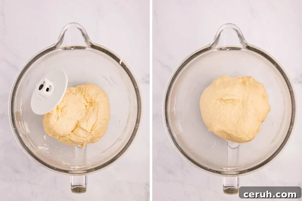 dough kneaded with dough hook into ball.