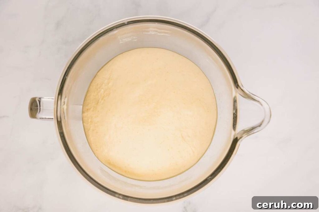 risen dough in glass bowl.