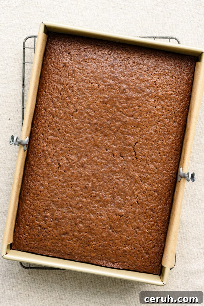 Overhead of a baked gingerbread cake in a 9x13 inch baking pan on a cooling rack.