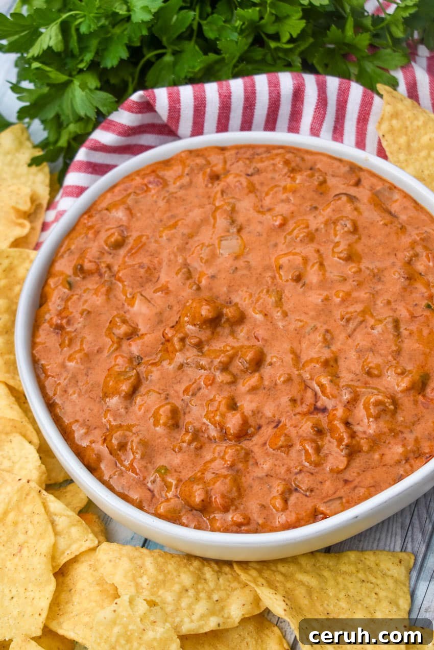 CHILI CHEESE DIP IN A SHALLOW WHITE SERVING BOWL SURROUNDED BY TORTILLA CHIPS
