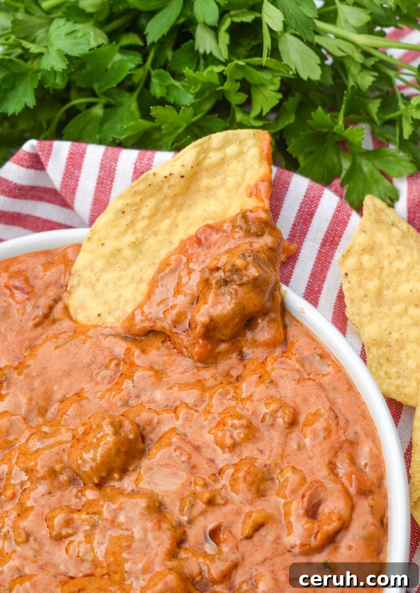A TORTILLA CHIP TOPPED WITH THE BEST HOMEMADE CHILI CHEESE DIP RESTING ON THE EDGE OF A WHITE SERVING BOWL