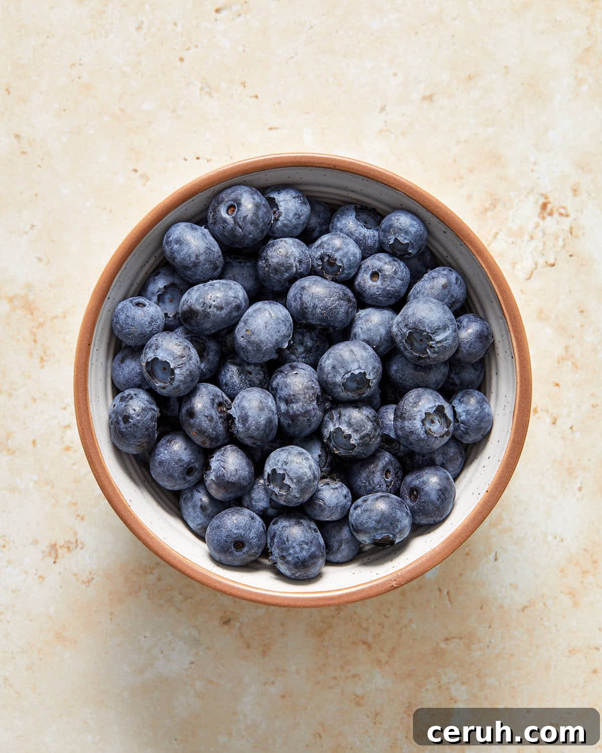 Overhead view of fresh blueberries in a white bowl.