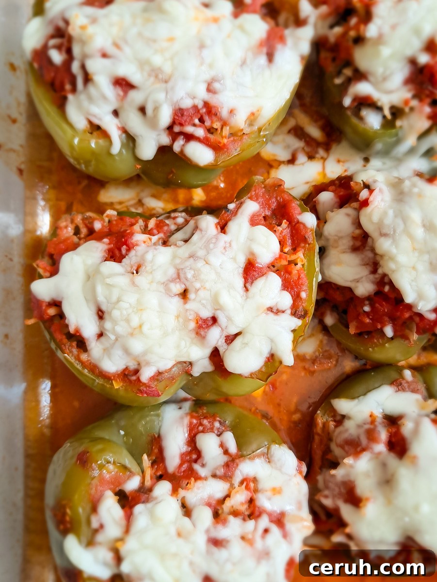 a 9x13" baking dish of Amish stuffed peppers with spaghetti sauce and cheese on top, ready to eat