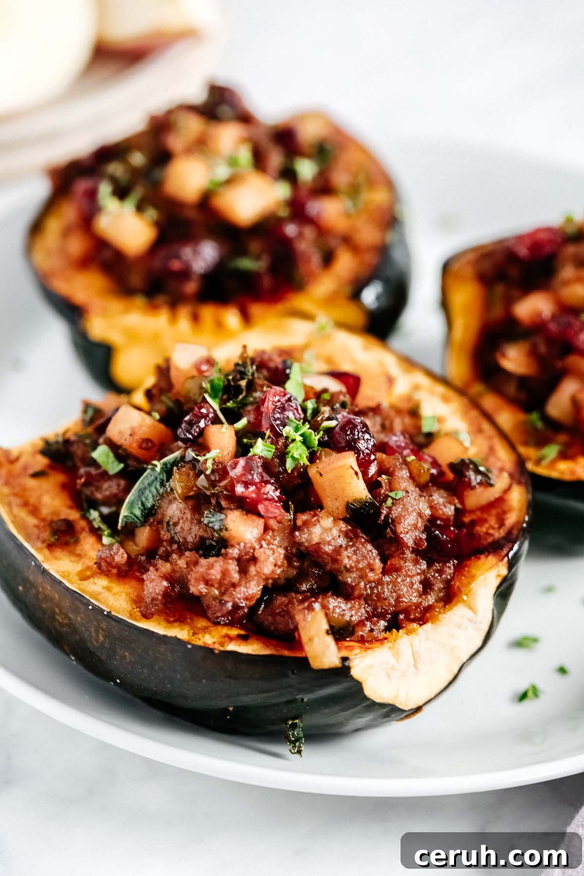 Close up of Sausage Stuffed Acorn Squash. 