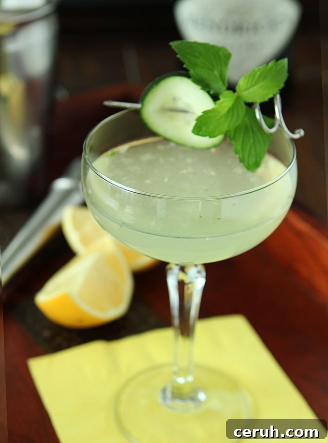 Hendrick's Cucumber Southside