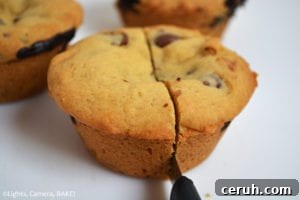 Baked cookie cups with golden edges, filled with hot fudge and caramel.