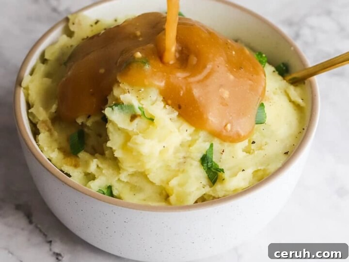 Plant-based gravy