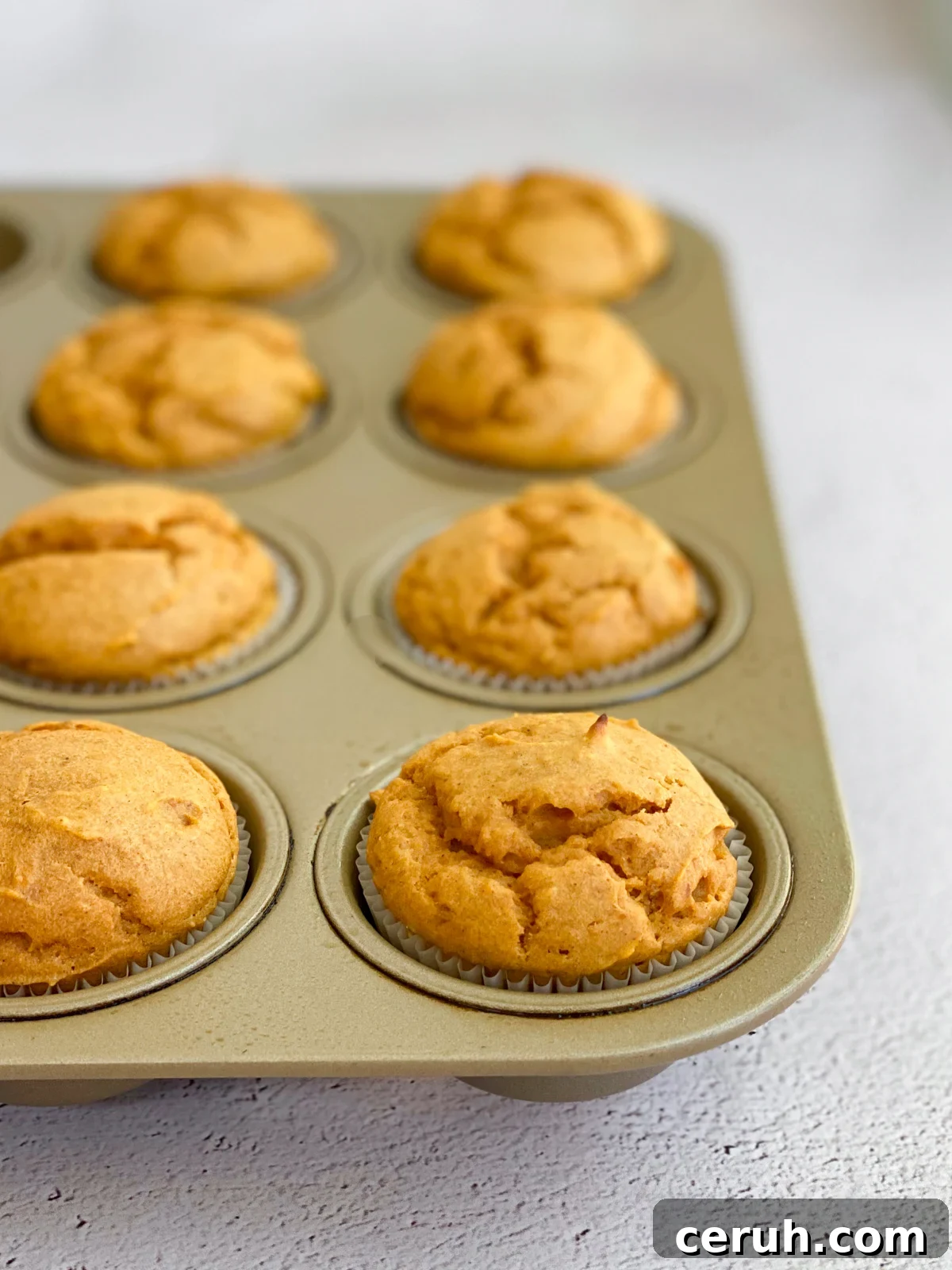 side view of pumpkin protein muffins to see the height on each muffin in the pan.